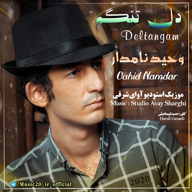 دانلود آهنگ وحید نامدار دلتنگم